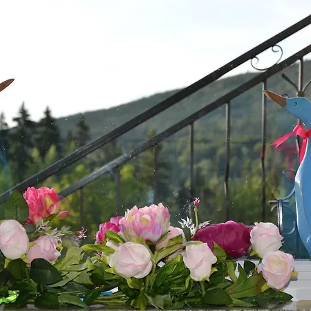 Дом отдыха Dom Kasienka - Na Wylacznosc *